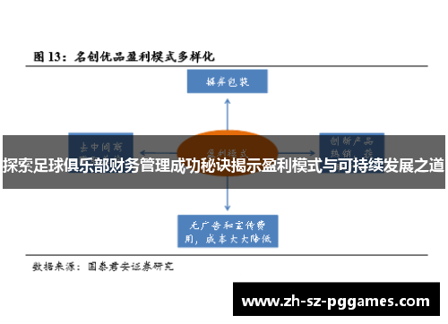 探索足球俱乐部财务管理成功秘诀揭示盈利模式与可持续发展之道
