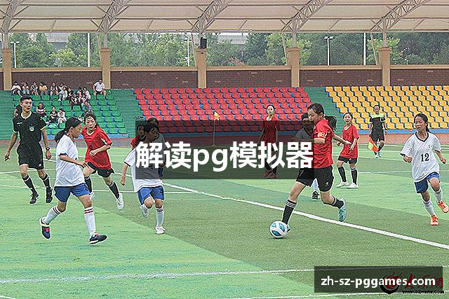 解读pg模拟器